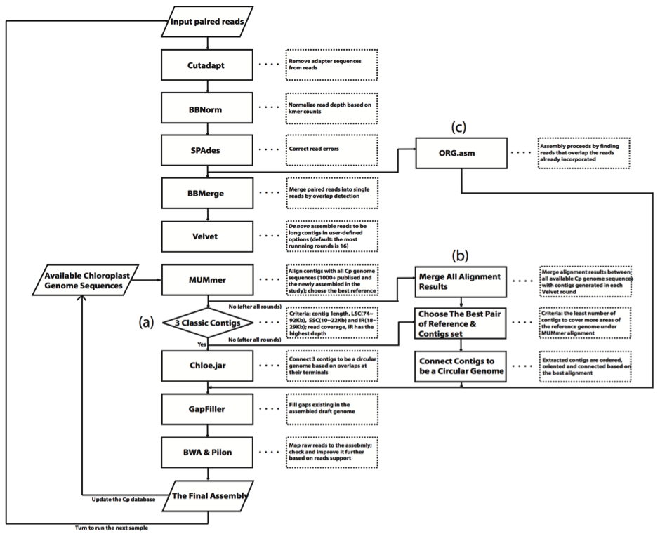 DNA assembly bioinformatic pipeline